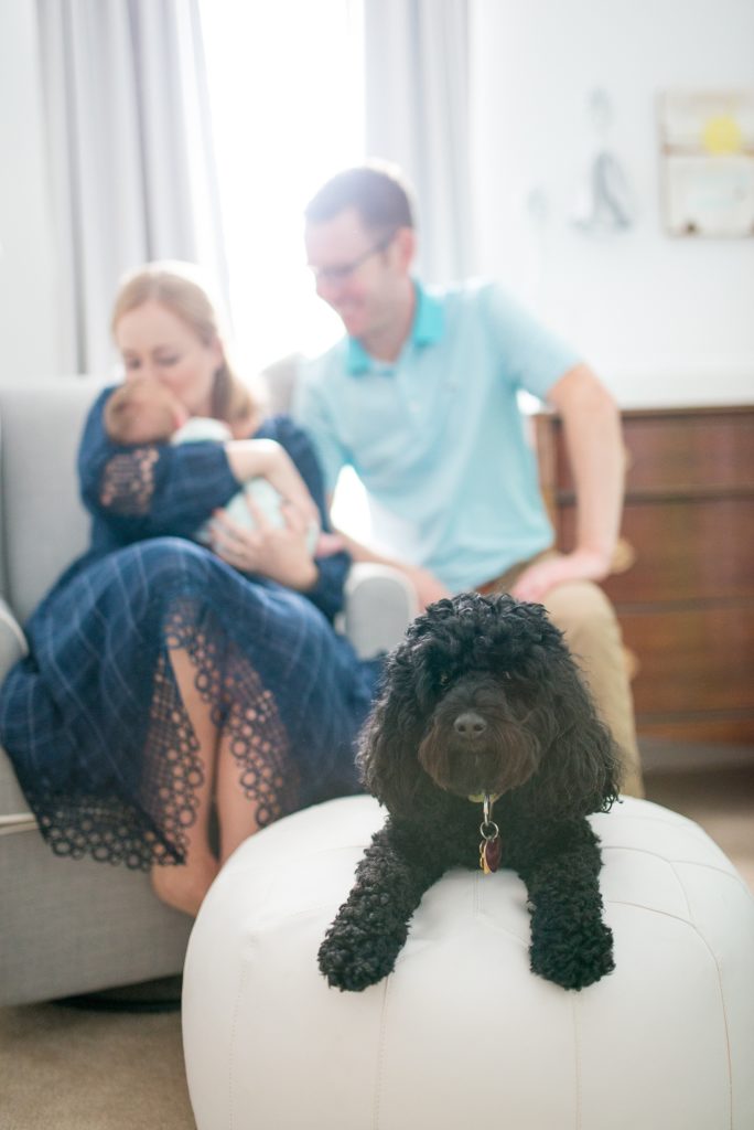 Newborn Photography Washington DC