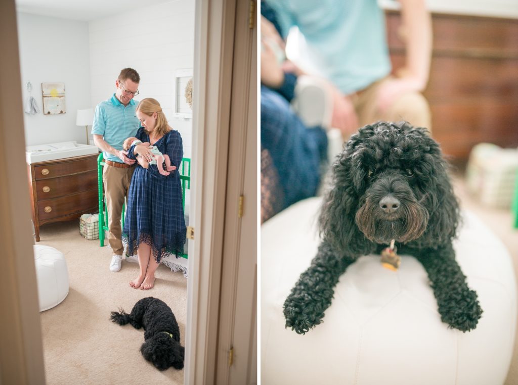 Newborn Photography Washington DC