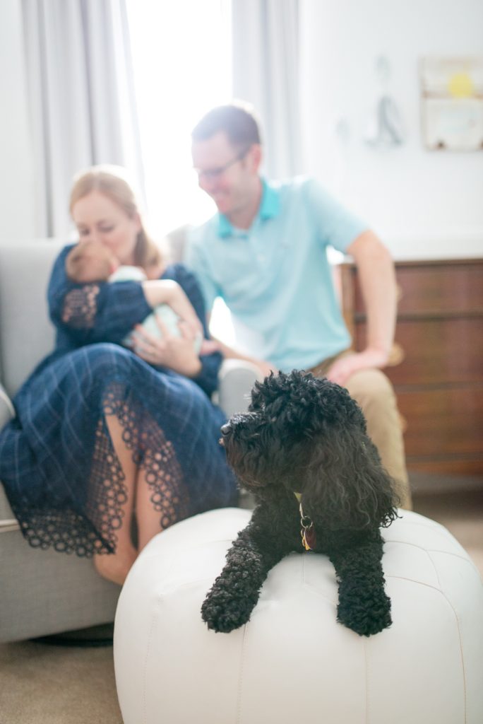 Lifestyle Newborn Photographer Washington DC